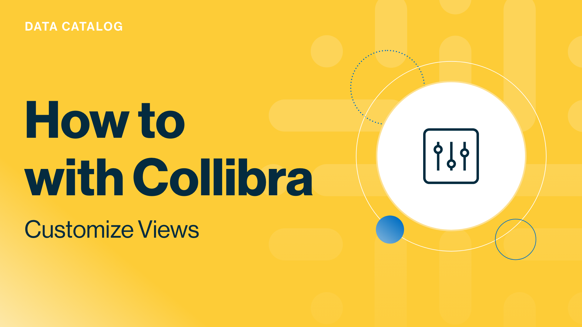 Load video: Collibra Data Catalog: customize views