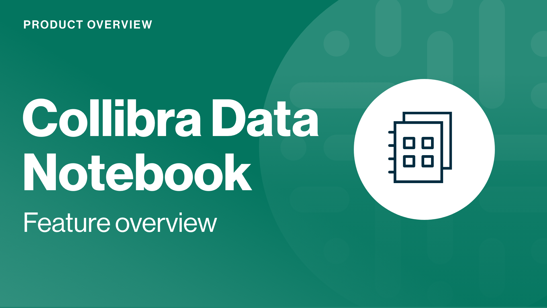 Load video: Collibra Data Notebook: feature overview